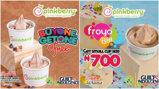 Experience Wholesome FROYO Deliciousness and an Amazing Guilt-Free indulgence with Pinkberry