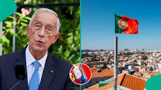 Portugal releases names of 59 countries eligible for visa-free entry, displays entry conditions