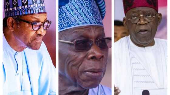 Assha: A yiwa Buhari, Tinubu da 'yan APC kudin goro, Obasanjo ya fi su alheri, inji jigon siyasa
