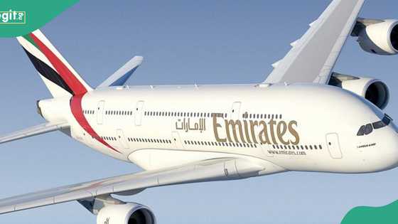 Good news as FG signs new deal with Emirate after airline's return to Nigeria