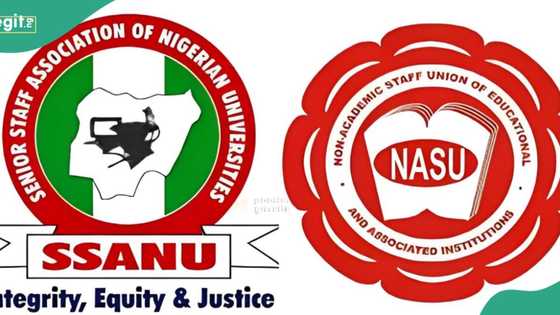 SSANU, NASU to begin strike Thursday over unpaid 4 months salaries
