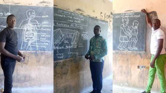 Passionate male teacher who uses drawings to teach his students goes viral as people celebrate him