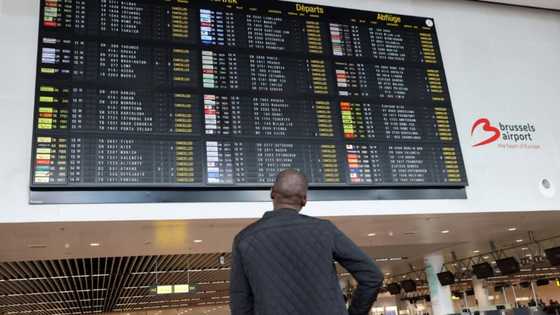 Strike forces cancellation of all Brussels flights
