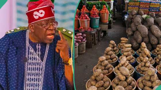 Minna protest: Nerves heightened as Tinubu gives crucial presidential order on food prices