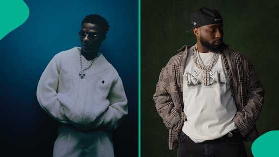 Video as Lekki Big Boy Jago brags about wealth, says he's on same level with Davido, mentions Wizkid