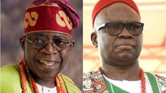 Tinubu is a builder of men in Nigeria, I won't join enemies to shoot him down, Fayose declares