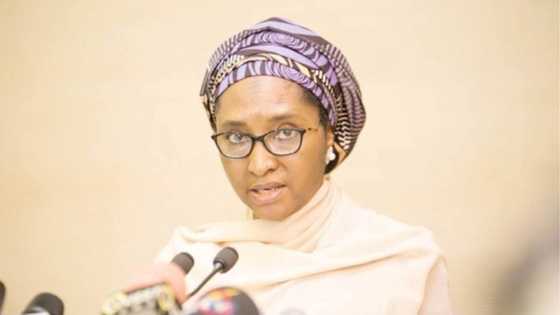 Buhari's minister gives updates on proposed ECOWAS single currency