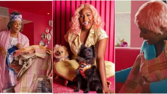 Sweet moment DJ Cuppy's mum surprised singer & her dogs with pink aso oke captured on camera, many react