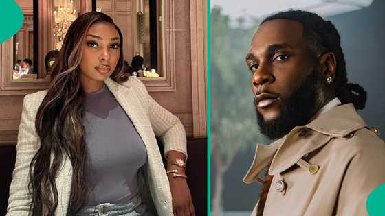 Sophia Egbueje takes action as fans, critics clash on her page over alleged encounter with Burna Boy