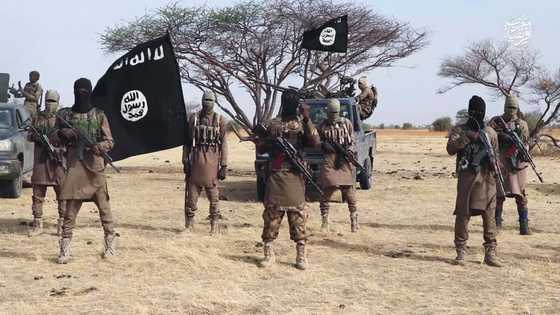 Yanzu-Yanzu: Ƴan ta'addan ISWAP sun sace ma'aikatan gwamnatin Jihar Borno