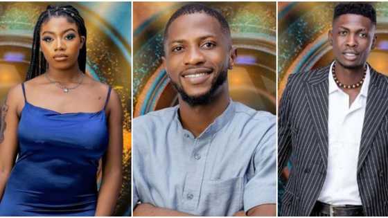 BBNaija: Trouble in paradise as Angel and Sammie fight dirty over kiss with new housemate Kayvee