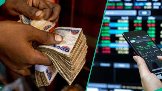Nigerian stock market gains as Zenith, Access, FBN make promises to shareholders