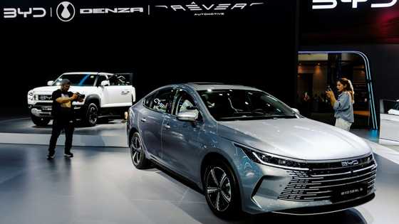 Chinese EV giant BYD surpasses rival Tesla with record 2024 revenue