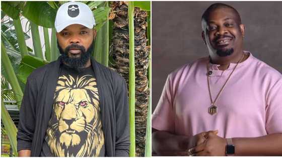 Nedu makes bold claim about male celebrities, his hesitation about Don Jazzy stirs reactions, video trends