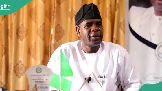Forms are free: Adamawa to disburse N50,000 grants to 40,000 small business owners