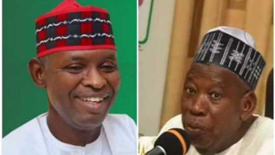 Ganduje: Dakta Baffa Bichi na APC ya ziyarci Abba Gida-gida har gida, bidiyo