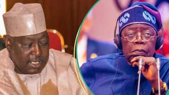'Tinubu jan wuya ne a murde zabe': Babachir Lawal na ganin APC za ta zarce