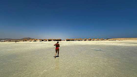 Tourism deal puts one of Egypt's last wild shores at risk