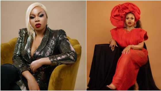 "Big Brother come & carry your wife:" Reactions as Diana says she can date Biggie, reveals they have chemistry