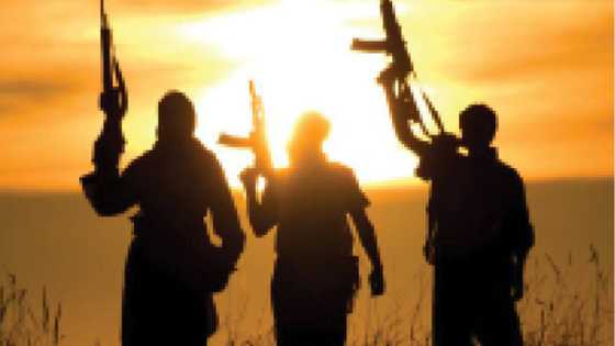 Dansadau: Akwai wadanda ba 'yan Najeriya ba cikin sabuwar kungiyar 'yan ta'addan Zamfara