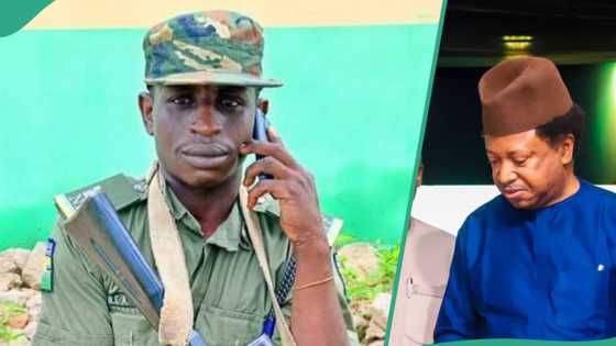 Why banditry, terrorism have lasted for long in Nigeria, Shehu Sani speaks out