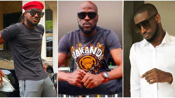 Please make us smile again, Fans plead with Peter and Paul Okoye to reunite as they clock new age
