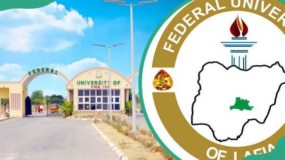 Federal University Lafia of Nasarawa State courses and cut off mark