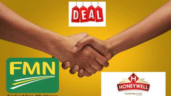 Honeywell, Flour Mills investors make N7.60bn in 16 hours as acquisition deal put smiles on shareholders face