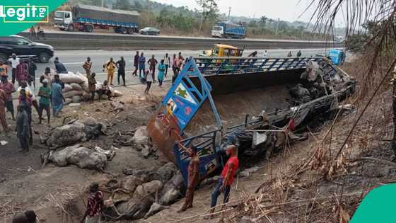 Just in: 6 die, over 20 badly injured in Lagos-Ibadan expressway accident