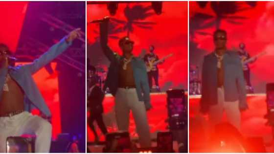 Wizkid’s Vibes on the Beach: Singer enjoys MJ moment, crowd goes wild as he makes grand stage entrance