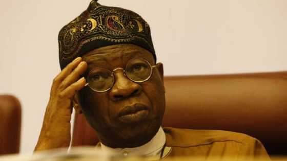Heartbreak for Lai Mohammed as his Kwara APC loyalists abandon him, join new political party
