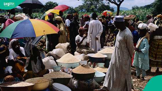 List of not-so-popular benefits of new tax laws for Nigerians