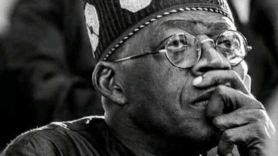 Greed doesn't go with good health: Strange advice, warning for Tinubu