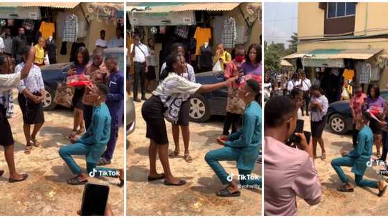 "You No Get money": Nigerian Lady Embarrasses Man as She Rejects His Proposal on Valentine's Day in Video