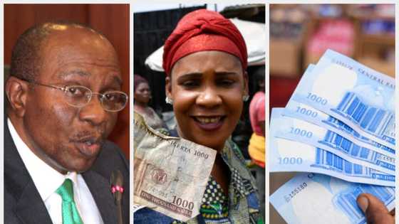 "We're surprised": Banks explain new naira notes scarcity as deadline approaches, CBN releases N701.4bn