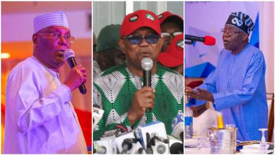 How Tinubu is keeping an eye on his second term ahead of PDP, Peter Obi, others