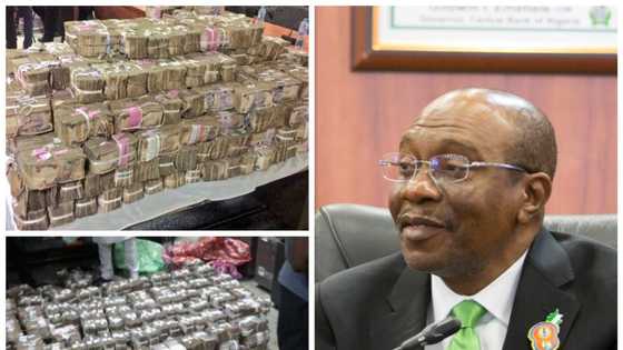 CBN waiting for Nigerians to return old naira notes, keeps portal opens...Tinubu win may impact situation