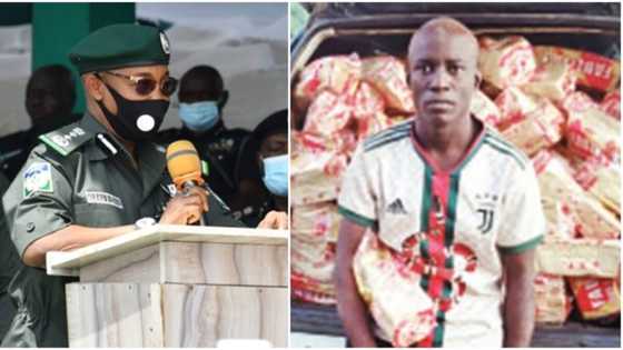 How I made N400k a month supplying bread to bandits - Suspect confesses