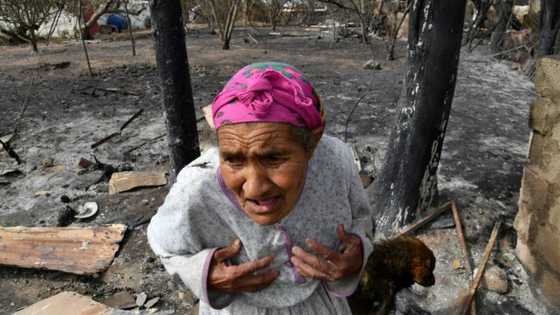 Algeria sentences scores to death over forest fire lynching: media