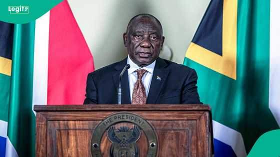 Notable 12 African countries not eligible for visa exemption in South Africa