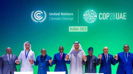 Yadda Tinubu ya kinkimi mutane fiye da 1, 400 wajen taron COP28 a kasar waje