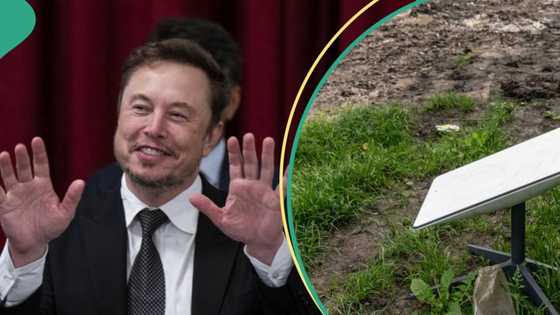 New details reveal why Zimbabwe, 2 African countries banned Elon Musk's Starlink