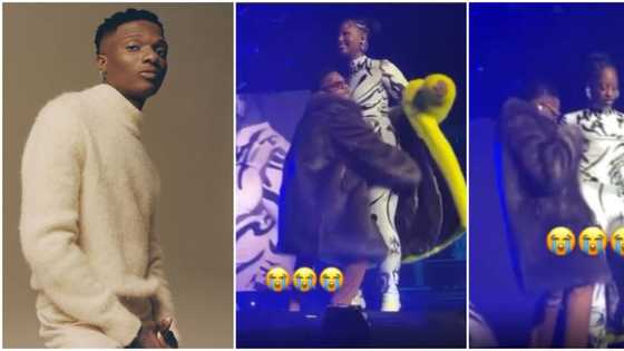 He crossed the line: Fans demand Wizkid apologises for trying to carry Tems without permission on stage
