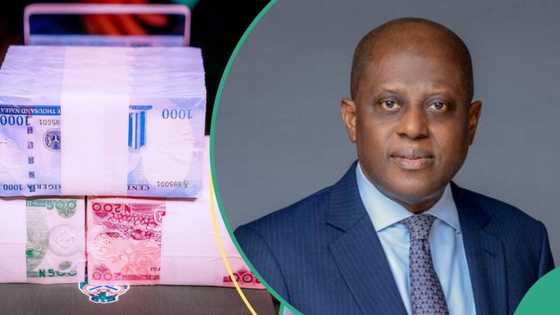 Fear of Naira scarcity as Reps give CBN date to phase out old notes, give new directive on new notes
