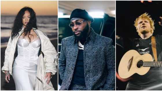 "I want to work with Rihanna," Davido says Drake & Ed Sheeran Are on his next album, fans react