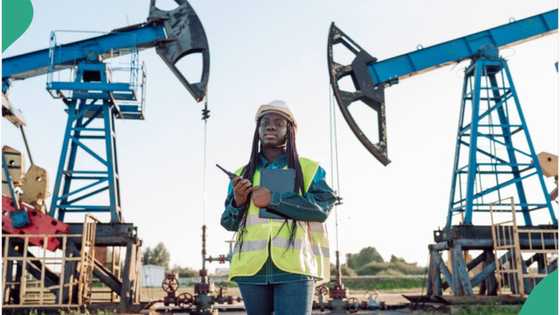 FG addresses alleged plan of Chevron, Exxon Mobil, others to leave Nigeria