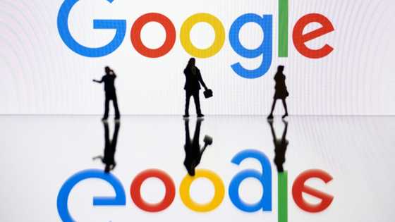 Record French fines for Google and Shein over cookies