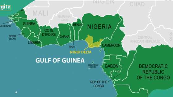 Nigeria commits ships, helicopters for Gulf of Guinea task force