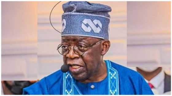 2023: Forget South-East, Tinubu must become Nigeria's next president, Arewa leader