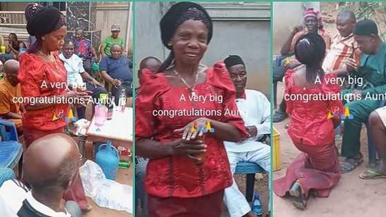 "She has been single all her life": Elderly Nigerian woman ties the knot with lover in grand style